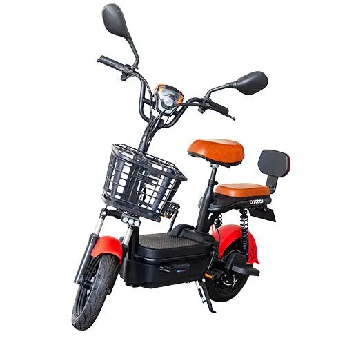 Bicicleta eléctrica 4209 D2-LiFePO4 48V 12Ah