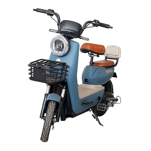 Electric bicycle 4209 D7 - 48V 20Ah Lead-Acid Gel Battery